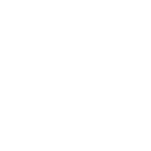 engineer